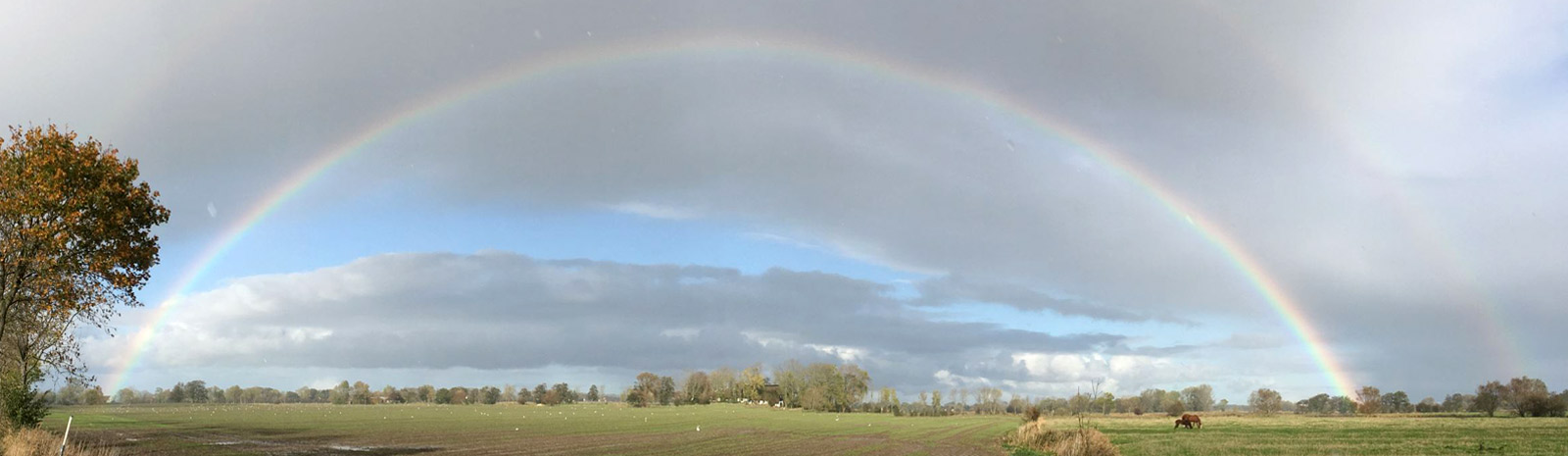 Regenbogen